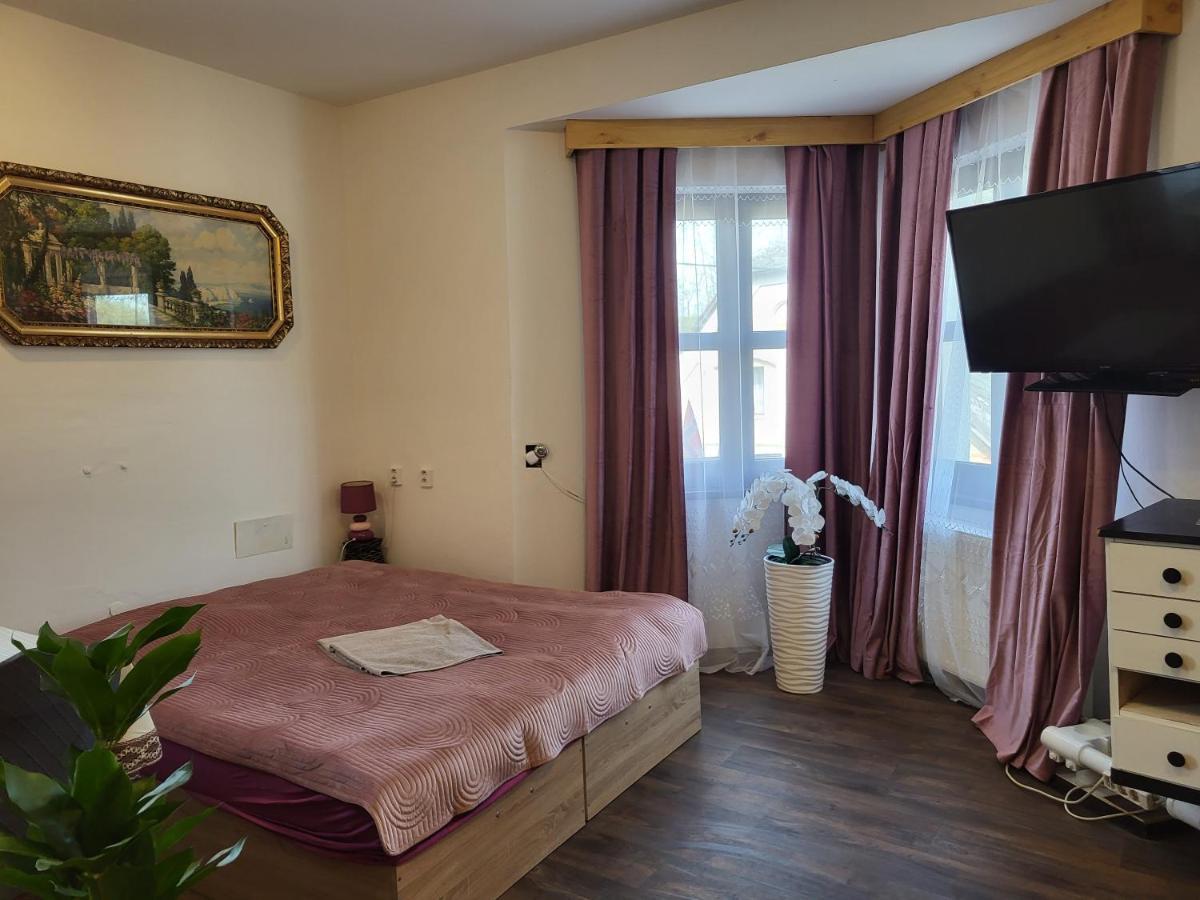Pension Doctor Dvůr Králové nad Labem الغرفة الصورة