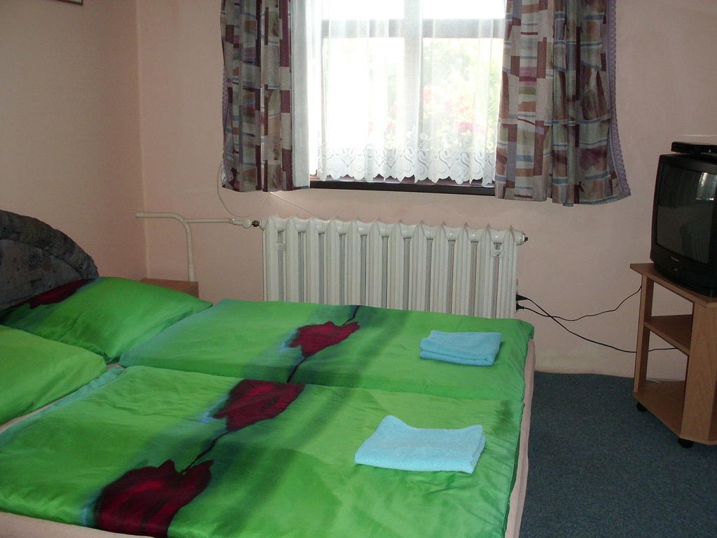 Pension Doctor Dvůr Králové nad Labem الغرفة الصورة